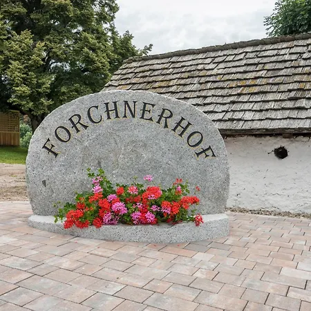 Forchnerhof 3 Apartment